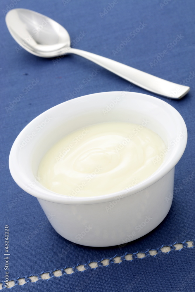 delicious fresh yogurt delicious fresh yogurt