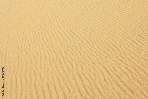 yellow wavy sand