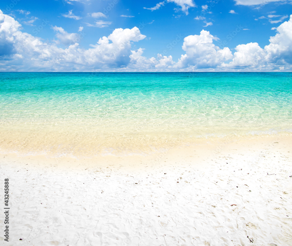 Fototapeta premium sea