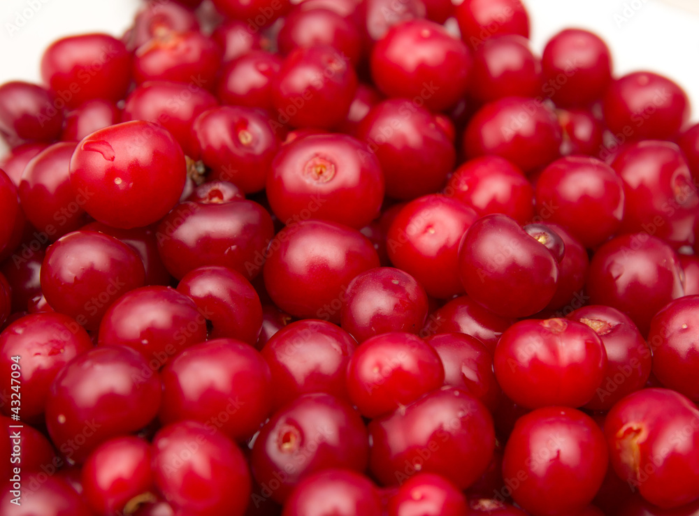 cherry in the background cherry in the background