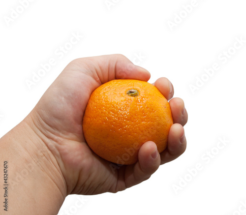 Mandarin in hand on white background