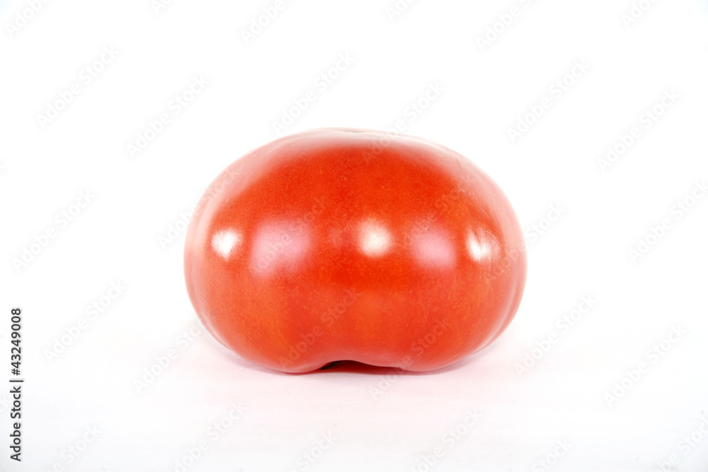 A tomato bottom side view with white background A tomato bottom side view with white background