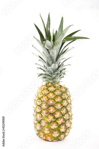 A fresh pineapple with white background photo