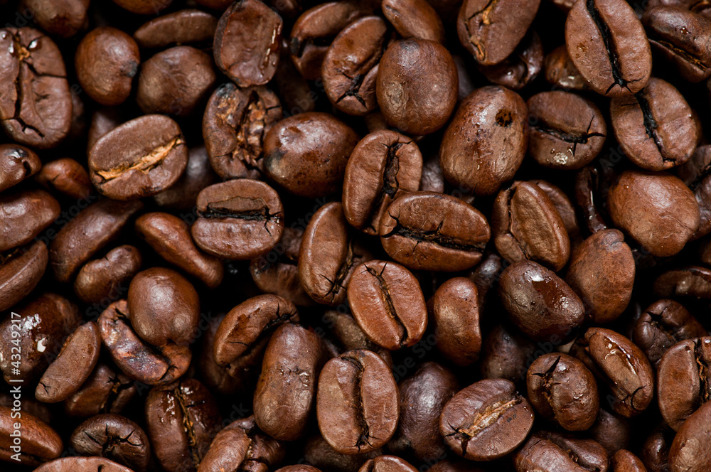Fototapeta premium coffee beans texture