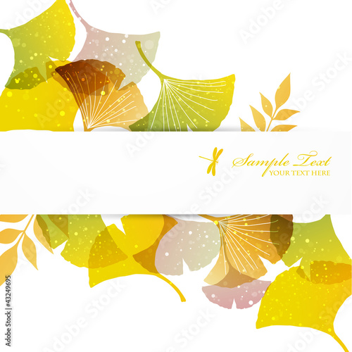 ginkgoes background