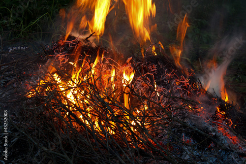 Wooden branches and twigs are Burning in Fire