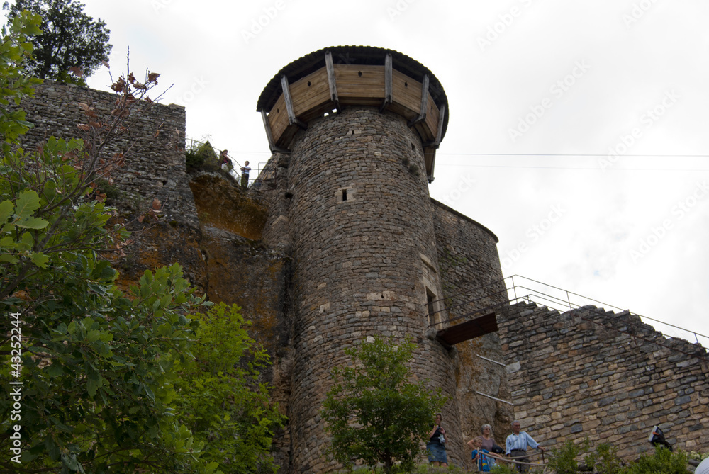 Chateau de Peyrelade