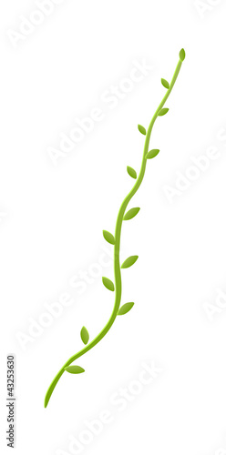 vector icon ivy