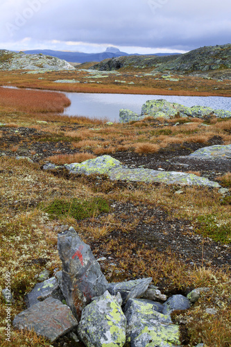 Landschaft in der Hardangervidda in Norwegen © Karina Baumgart