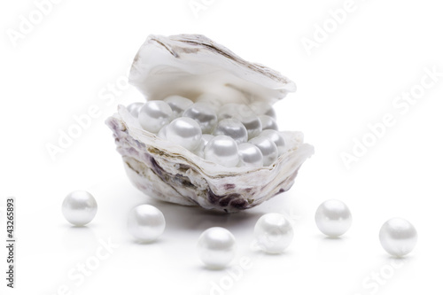 Perlen in einer Auster