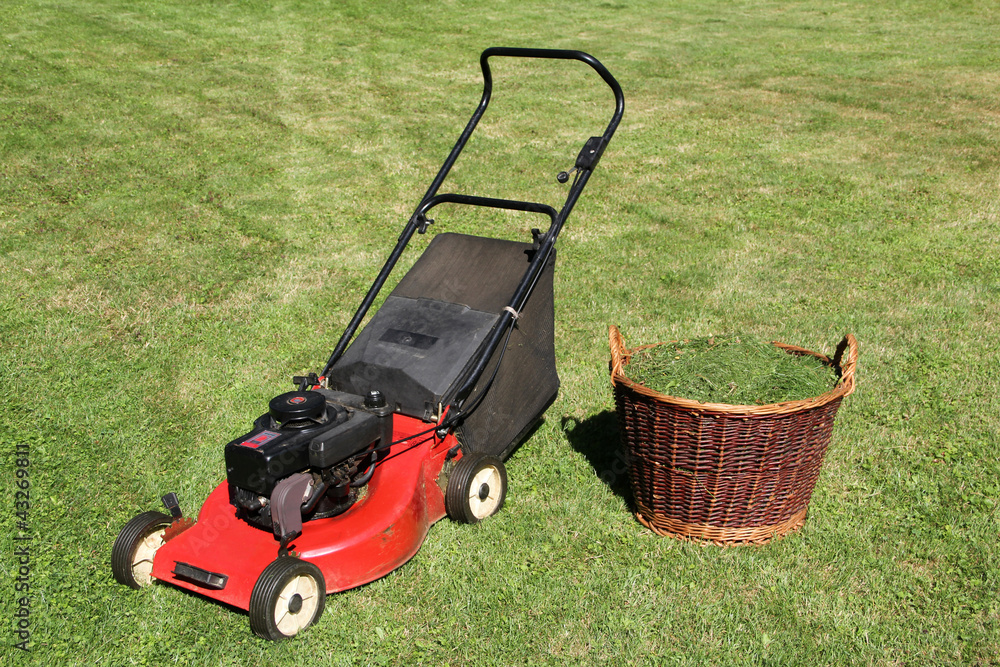 Fototapeta premium rasenmäher