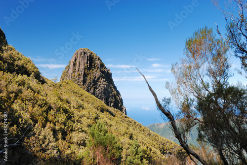 pinacuo, madeira, portugal photo