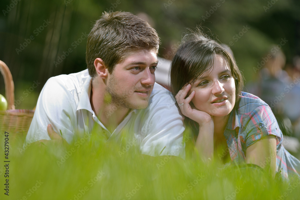 happy young couple having a picnic outdoor happy young couple having a picnic outdoor