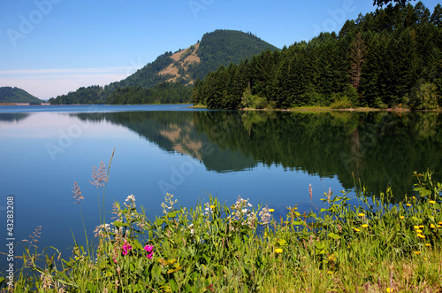 Dorena Reservoir photo