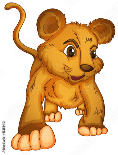 cub on white