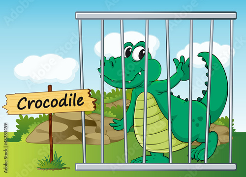 crocodile in cage