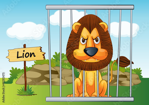 lion in cage
