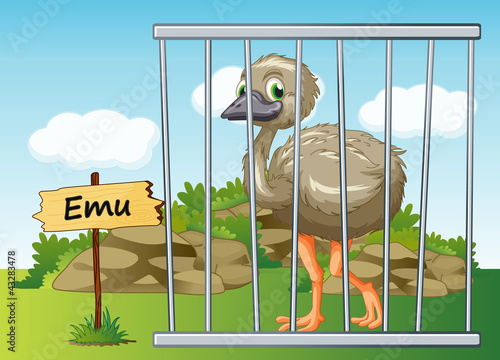 emu in cage
