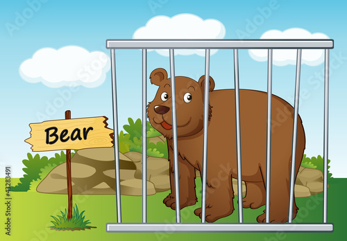 bear in cage