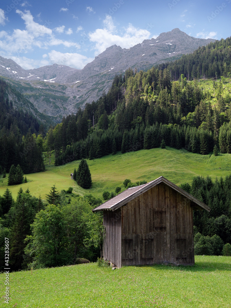 holzhütte in den bergen