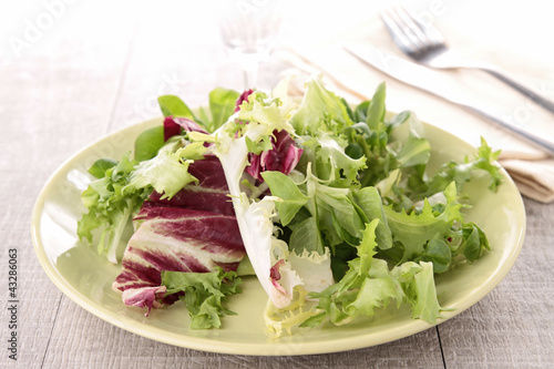 plate of fresh salad