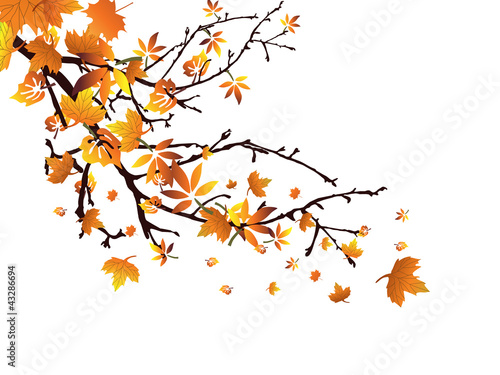 Herbstzeit