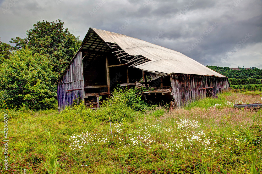 Fototapeta premium Old Wooden barn