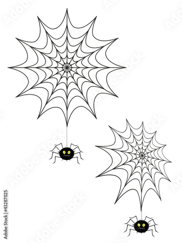 Spinnennetzt mit Spinne