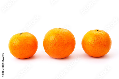 A row of three oranges isolated on a white background