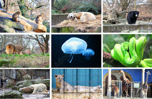 Photography Different animals at the Berlin Zoo Germany