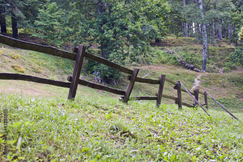 Staccionata nel bosco