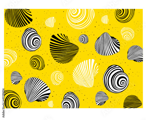 shell of a snail on a yellow background