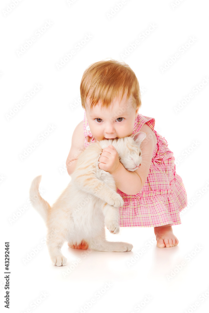 Little girl playing with kitten, isolated on white Little girl playing with kitten, isolated on white