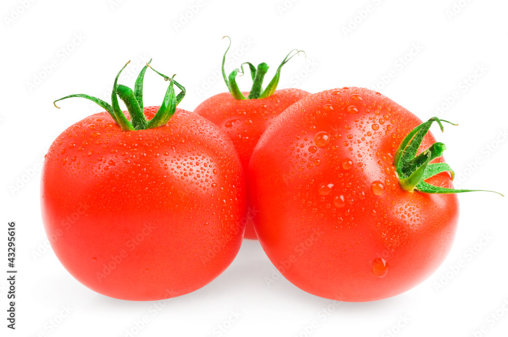 Close-up photo of tomatoes with water drops Close-up photo of tomatoes with water drops