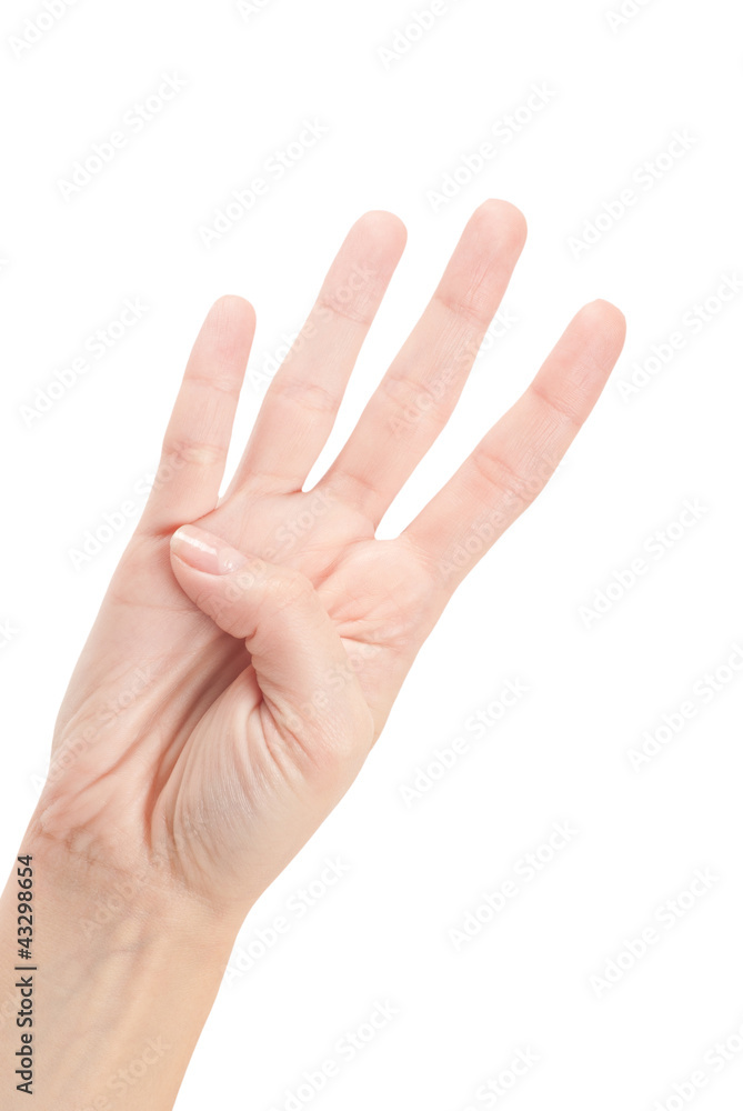 Hand Gesture - Number Four isolated on white Hand Gesture - Number Four isolated on white