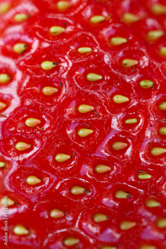 Wallpaper Mural macro of strawberry texture -background Torontodigital.ca
