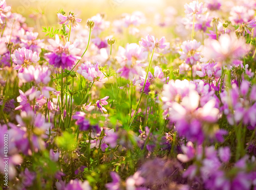 flower background © andreusK