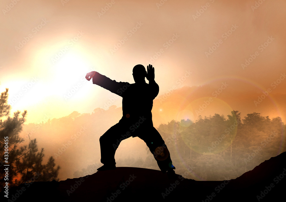 Fototapeta premium Stock Illustration of Tai Chi on Mountain
