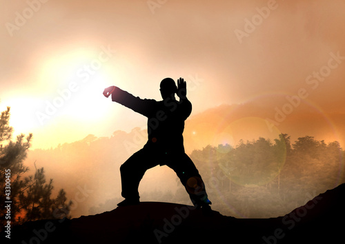 Stock Illustration of Tai Chi on Mountain photo