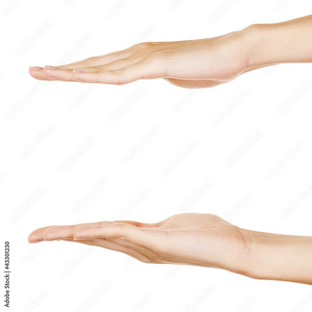 Showing hands isolated on white. Showing hands isolated on white.