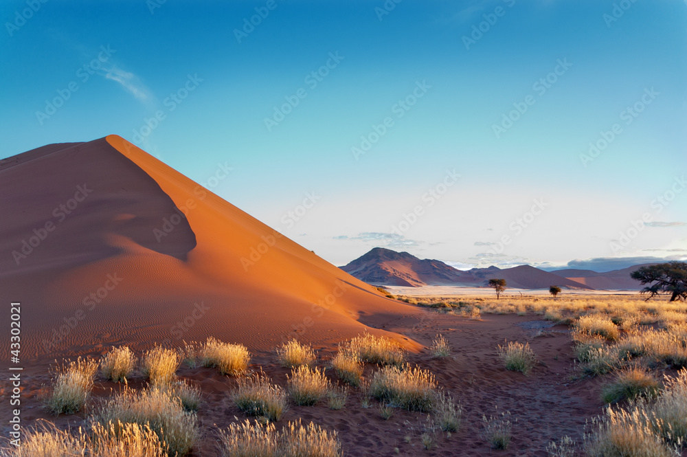 Fototapeta premium Piękne wydmy o zachodzie słońca Pustynia Namib, Sossusvlei, Namibia