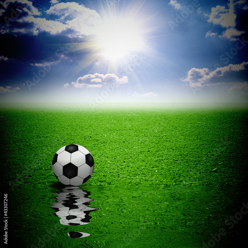 Fototapeta Naklejka Na Ścianę i Meble -  Classic soccer ball on green grass reflecting in water