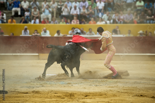 Torero toreando en una corrida típica española. photo