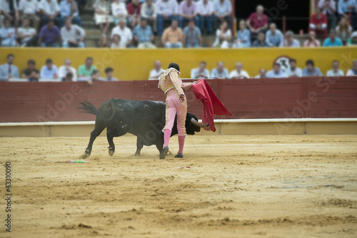 Torero toreando en una corrida típica española. photo