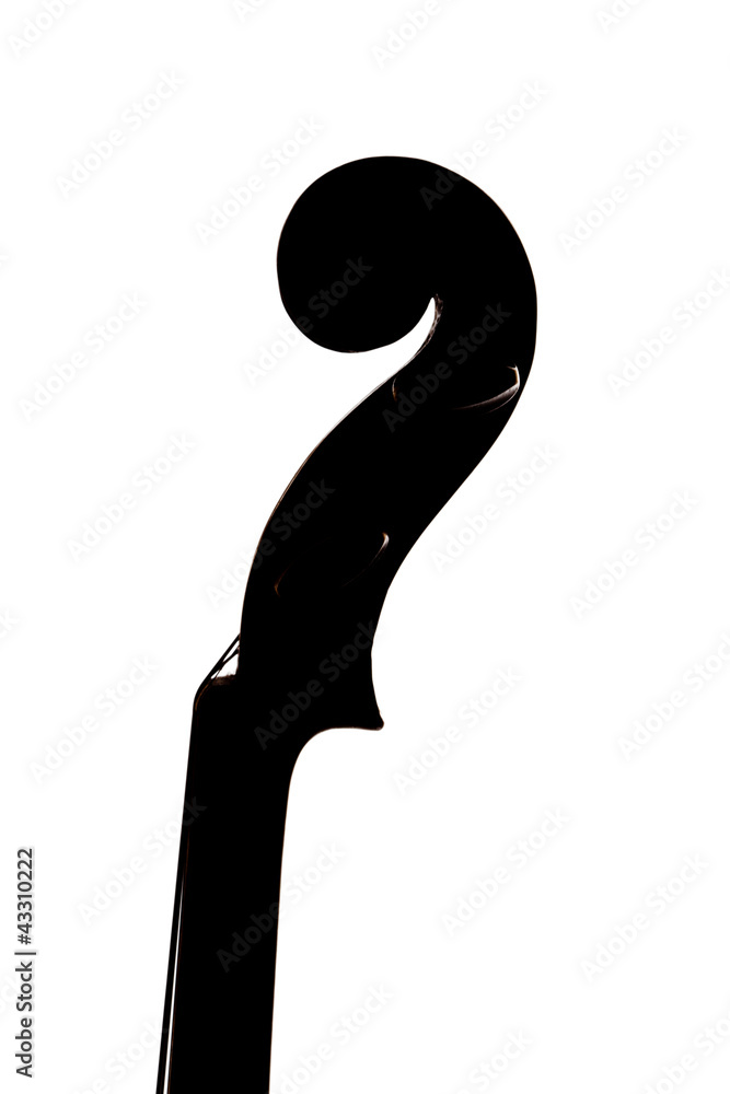 Isolated violin headstock on white background Isolated violin headstock on white background