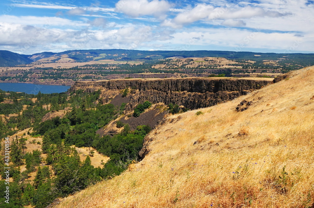 Fototapeta premium A View From Rowena Crest Overlook at Oregon