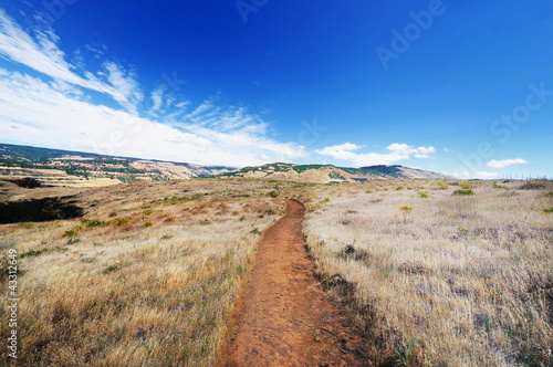 A Trail at Rowena Crest Overlook