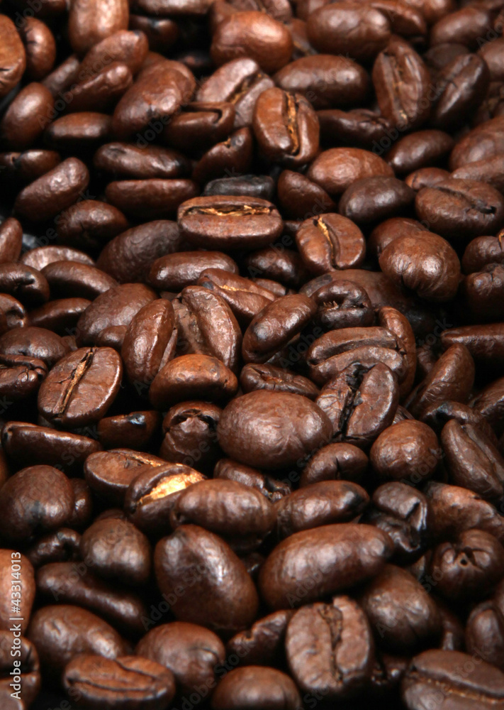 Coffee Beans. Coffee Beans.