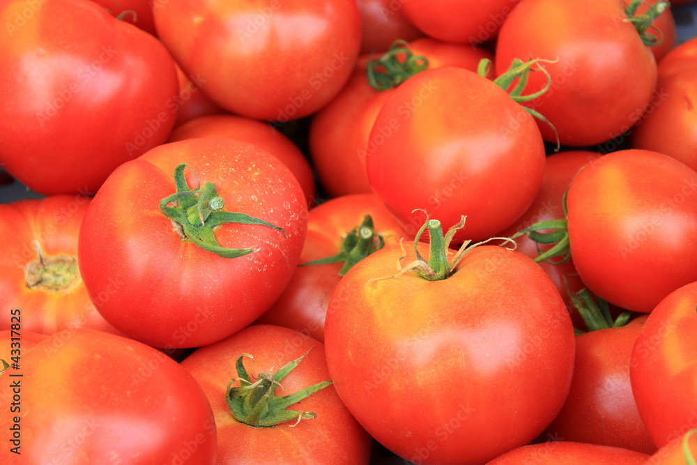 So many red tomatoes So many red tomatoes