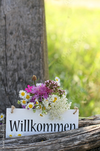 willkommen in der Natur